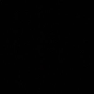 Meet your Posher, Jess